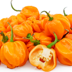 Yellow Scotch Bonnets - Ogyenma