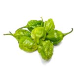 Green scotch bonnet pepper