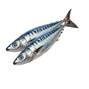 Frozen Mackerel (1.9 -2kg)