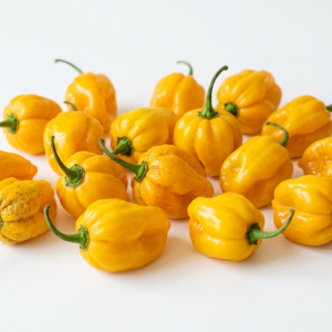Yellow Scotch Bonnets - Ogyenma