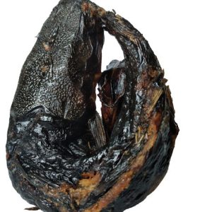 Smoked Catfish - Adwene (1 small)