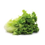 Lettuce
