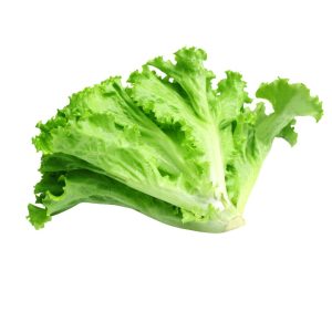Lettuce