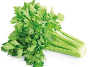 Celery