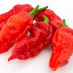 Red Scotch Bonnets