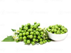 Abeduru - Turkey Berries