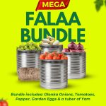 Mega Falaa