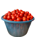 Tomatoes Basket (medium)