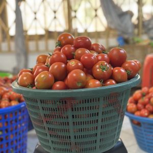 Tomatoes small basket
