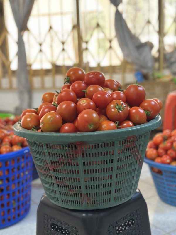 Tomatoes small basket