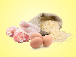 COMING SOON!!! The Student Companion