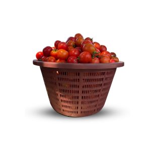 GRADE B TOMATOES (Firm but tiny sizes) Available only for Pick Up
