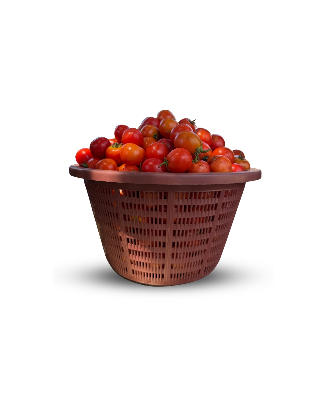 GRADE B TOMATOES (Firm but tiny sizes) Available only for Pick Up